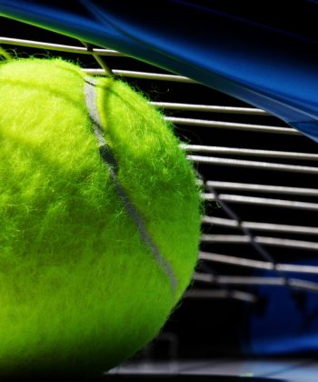 tennis-ball-up-close